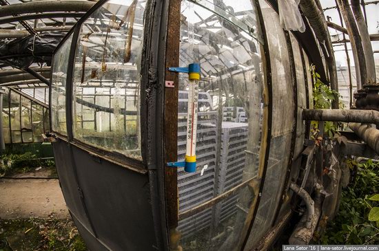 Abandoned greenhouse complex near Moscow, Russia, photo 3