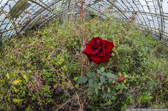 Abandoned greenhouse complex near Moscow, Russia, photo 30