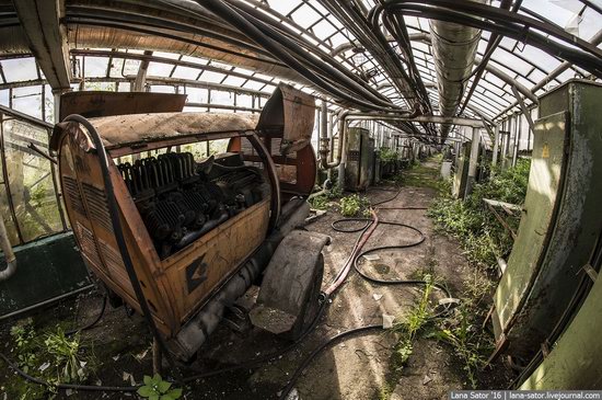 Abandoned greenhouse complex near Moscow, Russia, photo 4