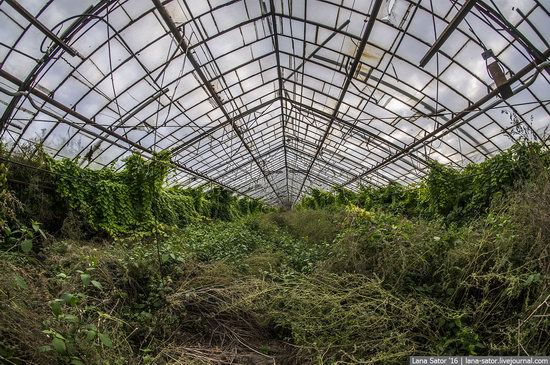 Abandoned greenhouse complex near Moscow, Russia, photo 5