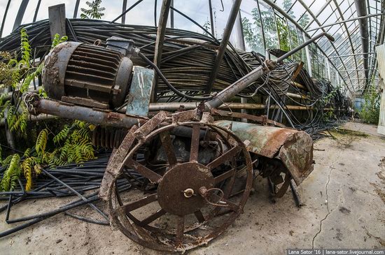 Abandoned greenhouse complex near Moscow, Russia, photo 6