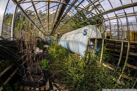 Abandoned greenhouse complex near Moscow, Russia, photo 8