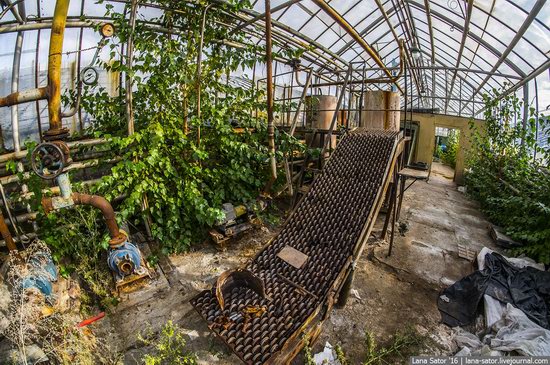 Abandoned greenhouse complex near Moscow, Russia, photo 9