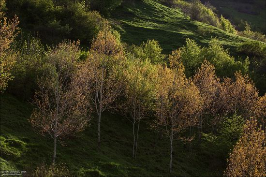 Tsakhur village in Dagestan, Caucasus, Russia, photo 3