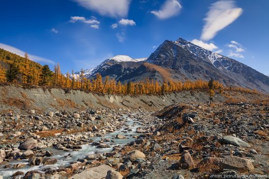 Golden autumn in the Altai Mountains, Russia, photo 1