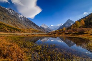 Golden Autumn In The Altai Mountains · Russia Travel Blog