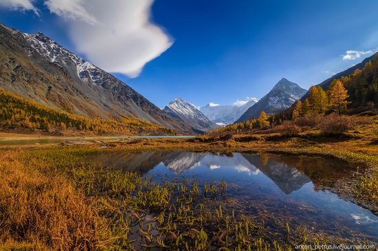 Golden autumn in the Altai Mountains, Russia, photo 10