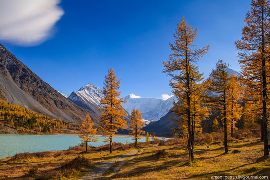 Golden autumn in the Altai Mountains, Russia, photo 11