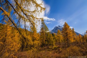 Golden Autumn in the Altai Mountains · Russia Travel Blog