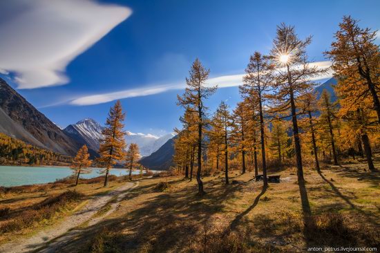 Golden autumn in the Altai Mountains, Russia, photo 5