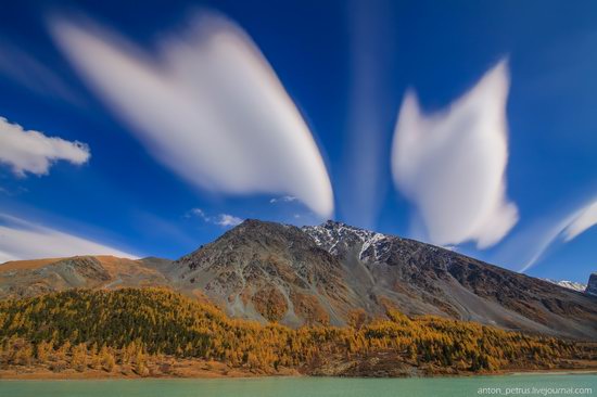 Golden autumn in the Altai Mountains, Russia, photo 6