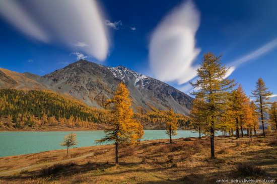 Golden autumn in the Altai Mountains, Russia, photo 7