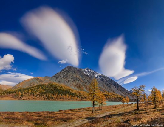 Golden autumn in the Altai Mountains, Russia, photo 8