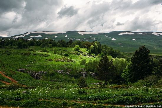 Alpine Meadows, Lago-Naki Plateau, Russia, photo 1