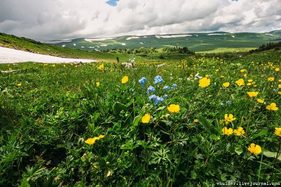 Alpine Meadows, Lago-Naki Plateau, Russia, photo 10