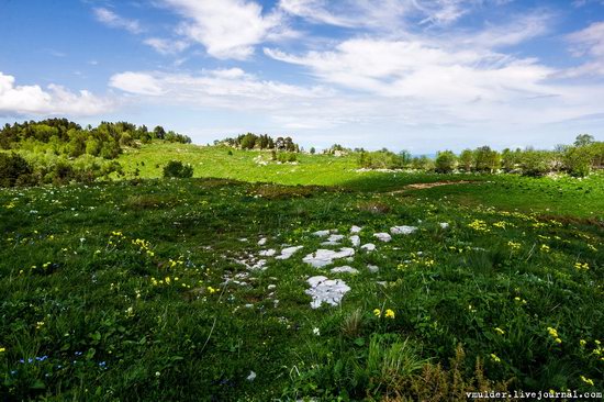 Alpine Meadows, Lago-Naki Plateau, Russia, photo 16