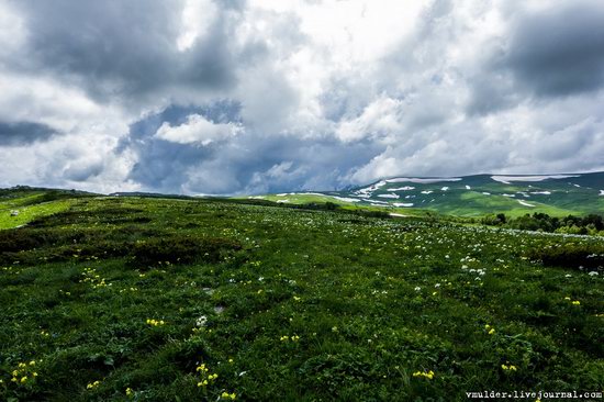 Alpine Meadows, Lago-Naki Plateau, Russia, photo 17