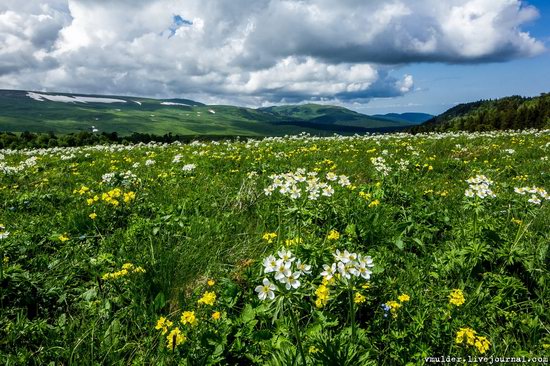 Alpine Meadows, Lago-Naki Plateau, Russia, photo 18