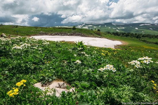 Alpine Meadows, Lago-Naki Plateau, Russia, photo 21