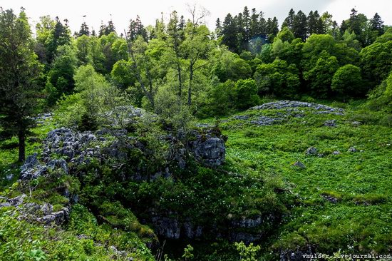 Alpine Meadows, Lago-Naki Plateau, Russia, photo 22