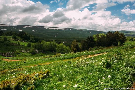 Alpine Meadows, Lago-Naki Plateau, Russia, photo 3