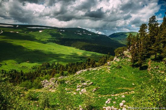 Alpine Meadows, Lago-Naki Plateau, Russia, photo 4