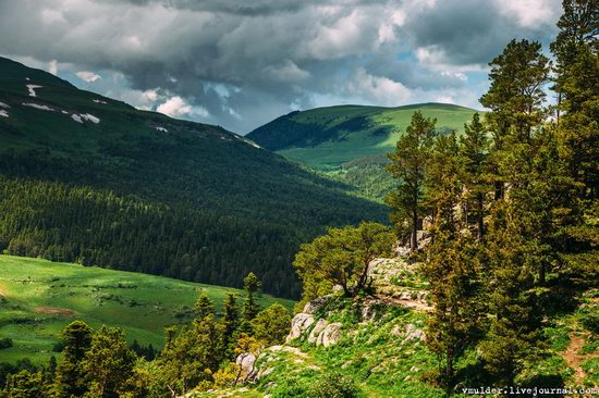 Alpine Meadows, Lago-Naki Plateau, Russia, photo 5