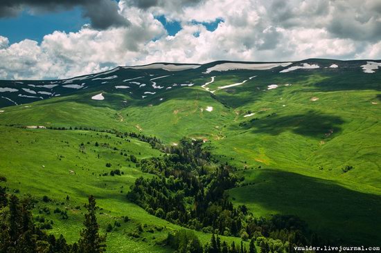 Alpine Meadows, Lago-Naki Plateau, Russia, photo 6