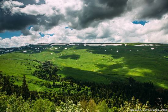 Alpine Meadows, Lago-Naki Plateau, Russia, photo 7