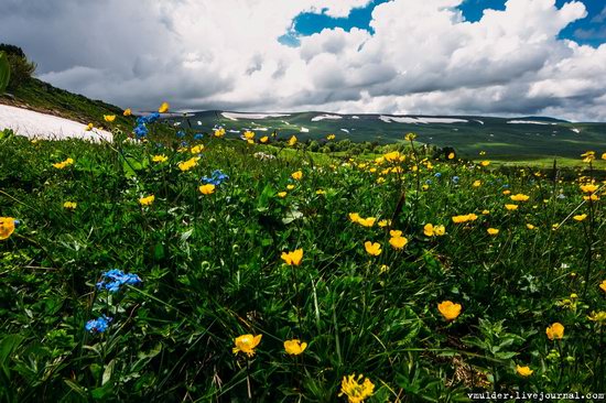 Alpine Meadows, Lago-Naki Plateau, Russia, photo 9