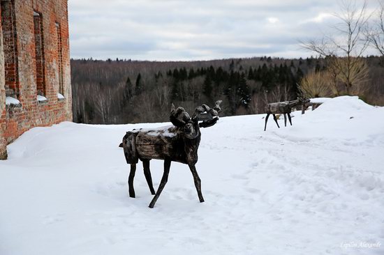 Winter in the Art Park Nikola-Lenivets, Russia, photo 16