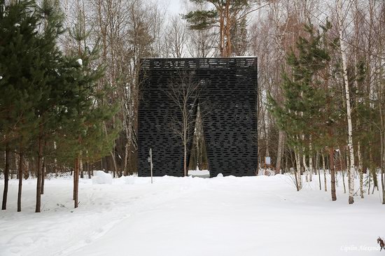 Winter in the Art Park Nikola-Lenivets, Russia, photo 19