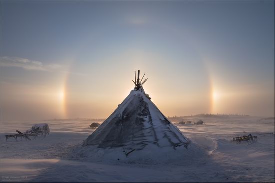 Life of the Nenets Reindeer Herders in the Russian North, photo 1