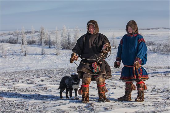 Life of the Nenets Reindeer Herders in the Russian North, photo 10