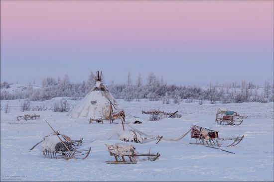 Life of the Nenets Reindeer Herders in the Russian North, photo 15