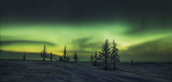 Life of the Nenets Reindeer Herders in the Russian North, photo 16