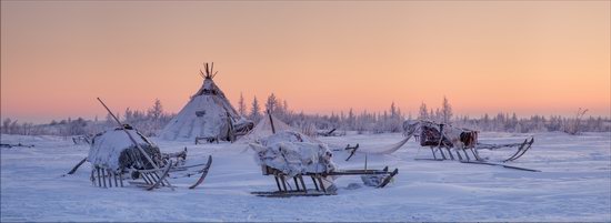 Life of the Nenets Reindeer Herders in the Russian North, photo 18