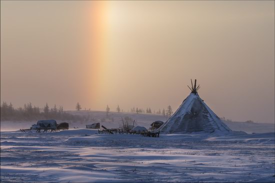 Life of the Nenets Reindeer Herders in the Russian North, photo 2