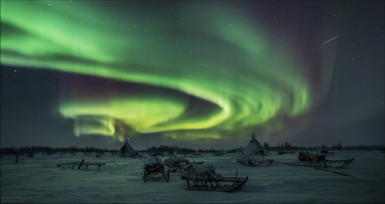 Life of the Nenets Reindeer Herders in the Russian North, photo 4