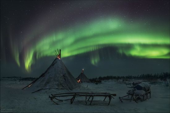 Life of the Nenets Reindeer Herders in the Russian North, photo 5