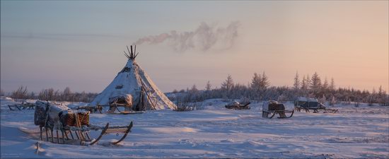 Life of the Nenets Reindeer Herders in the Russian North, photo 8