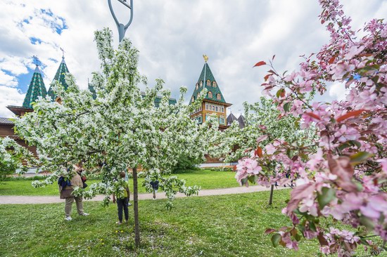 Palace of Tsar Alexey Mikhailovich in Kolomenskoye, Moscow, Russia, photo 9