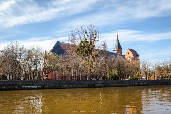 Boat trip in Kaliningrad, Russia, photo 12