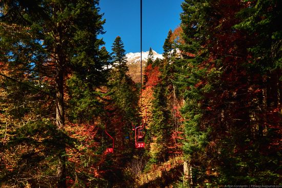 Dombay resort, Karachay-Cherkessia, Russia, photo 6