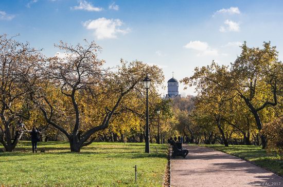 Golden autumn in Kolomenskoye, Moscow, Russia, photo 1