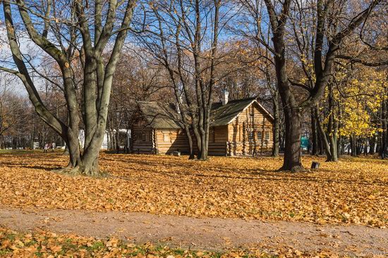 Golden autumn in Kolomenskoye, Moscow, Russia, photo 12