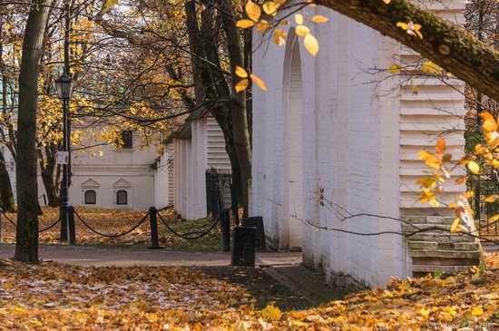 Golden autumn in Kolomenskoye, Moscow, Russia, photo 14