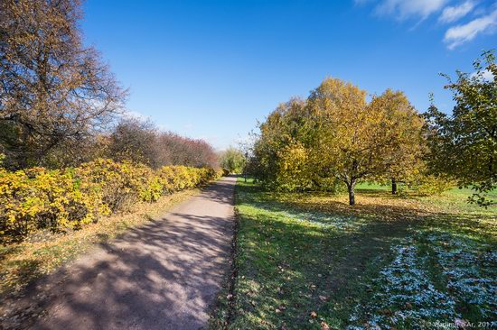 Golden autumn in Kolomenskoye, Moscow, Russia, photo 2