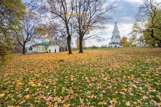 Golden autumn in Kolomenskoye, Moscow, Russia, photo 24