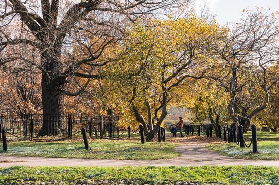 Golden autumn in Kolomenskoye, Moscow, Russia, photo 6